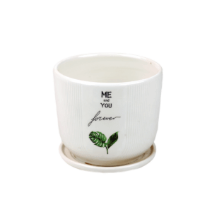 TerraCotta Ceramic Pot