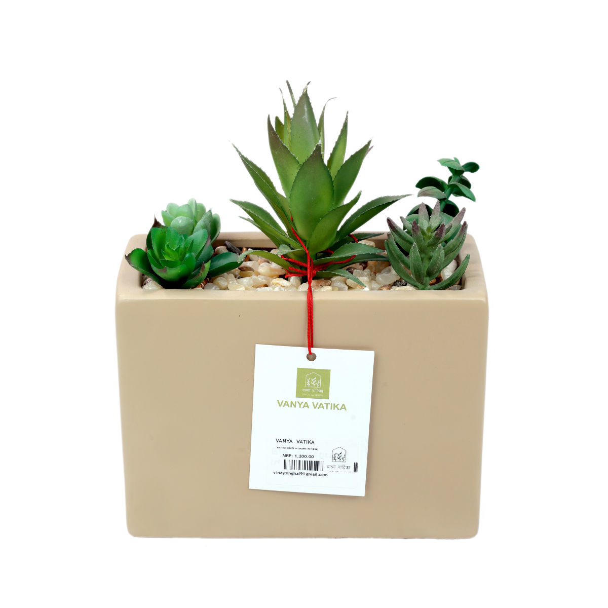 EcoCradle Ceramic Pot with Plant