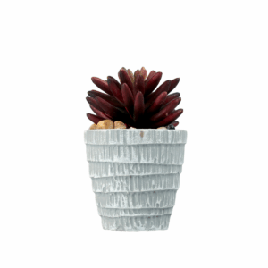 Leafusion Cermic Pot with Plant