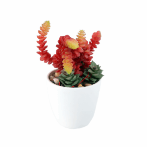 Unwilting Ceramic Pot with Plant