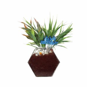 Perennial Plant in Glass Pot
