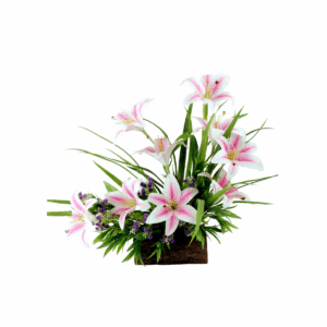 Basko Wooden Pot with Plant