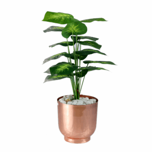 Florum Plant in Metal Pot