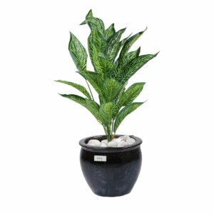 Vasari Plant in Ceramic Pot
