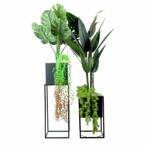Solvra Plants in Metal Pots with Stand