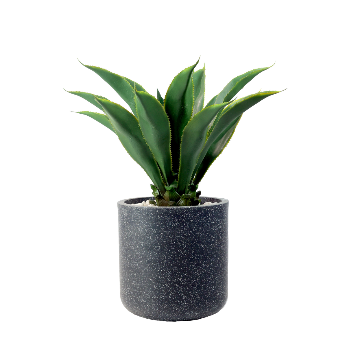 Botanix Plant in Jaguar Pot