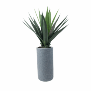 Fauxis Plant in Jaguar Pot