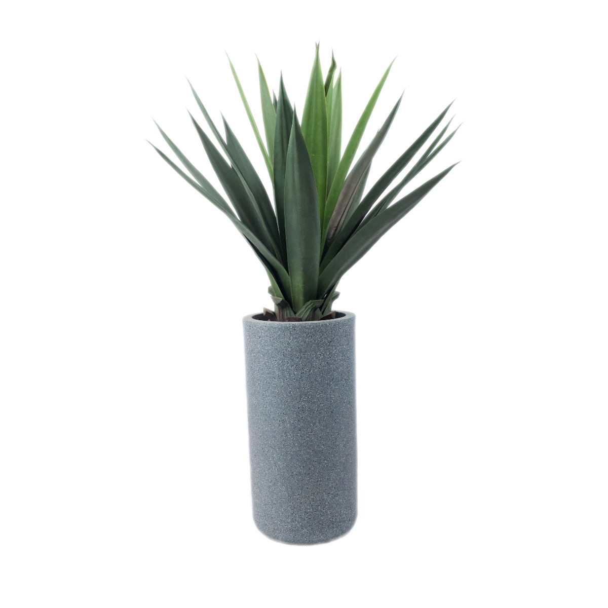 Fauxis Plant in Jaguar Pot