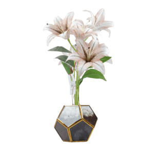 Lumina Plant in Glass Pot