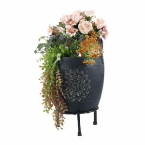 Aeris Plant in Rubber Pot
