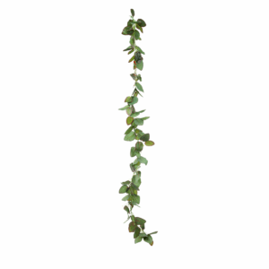 Bail Branch Plant