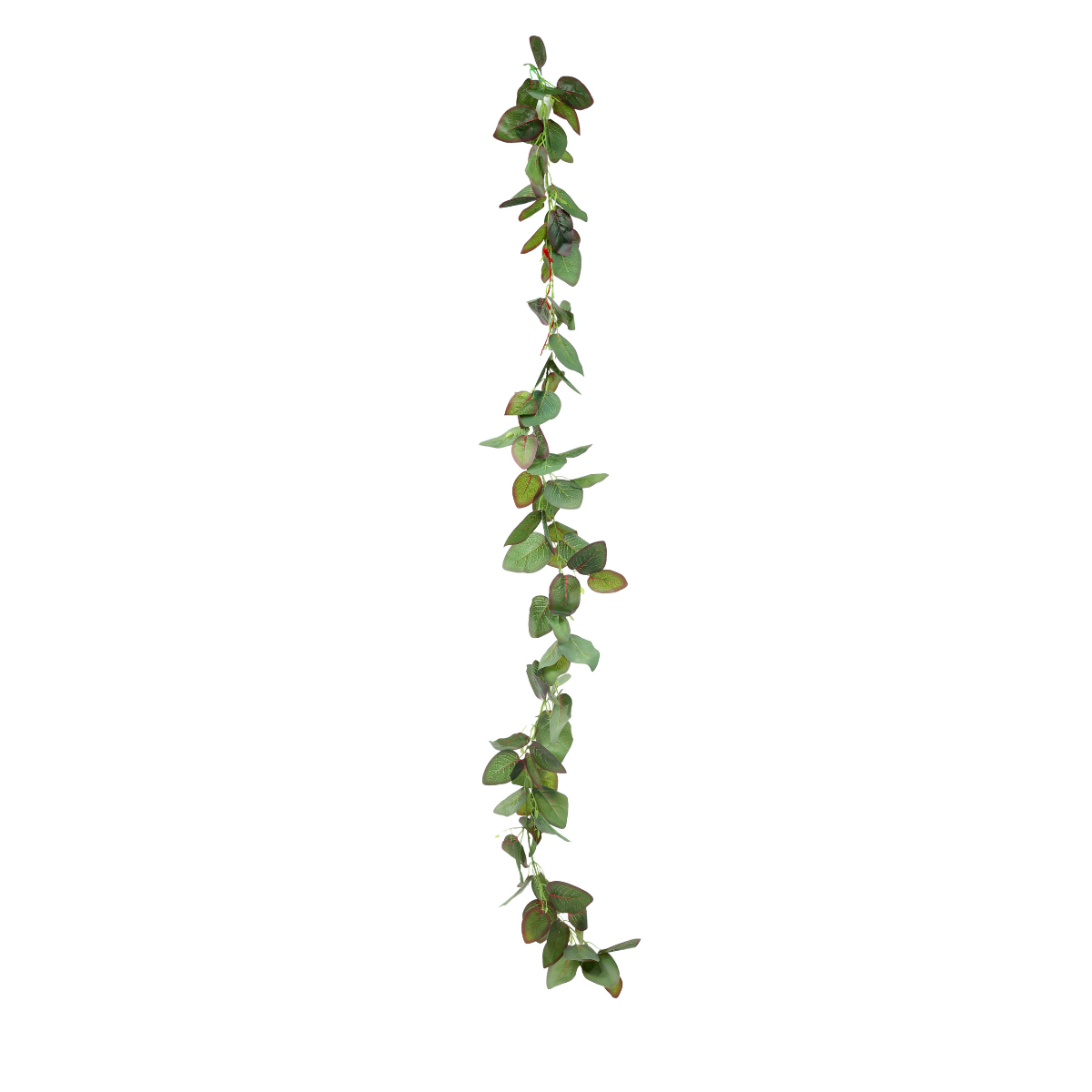 Bail Branch Plant