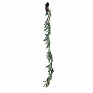 Pine Bail Plant