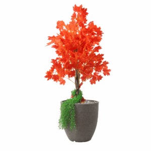 Stilt Plant in Fiber Pot