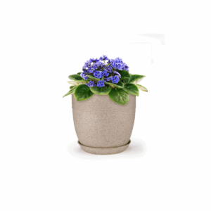 Cool Pot