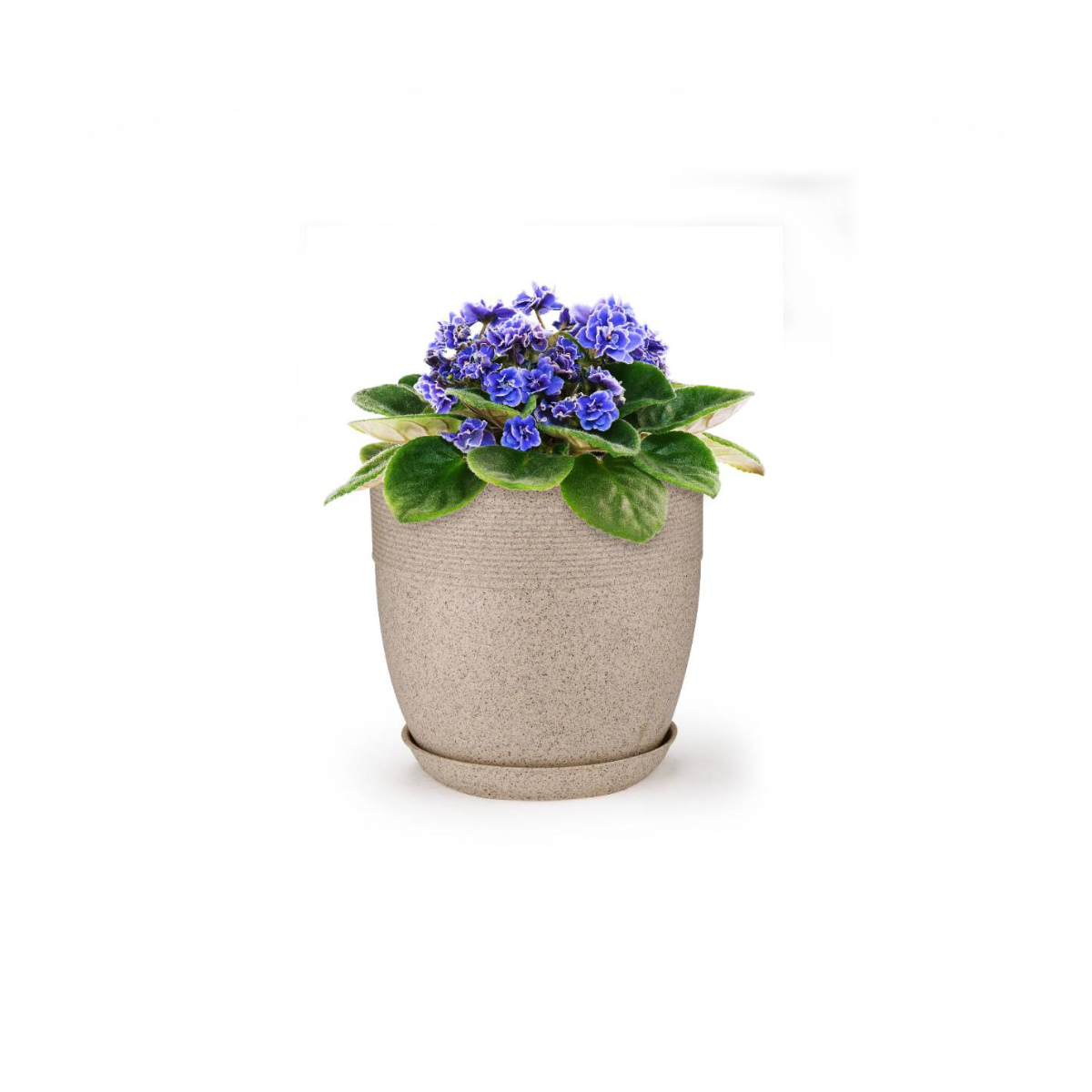 Cool Pot
