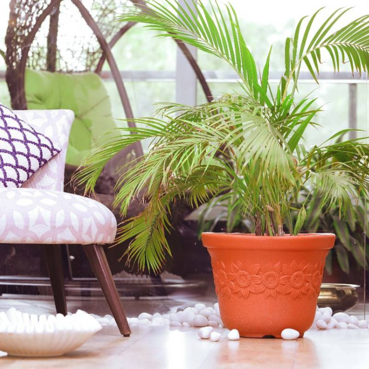 Sunny Pot - Image 7