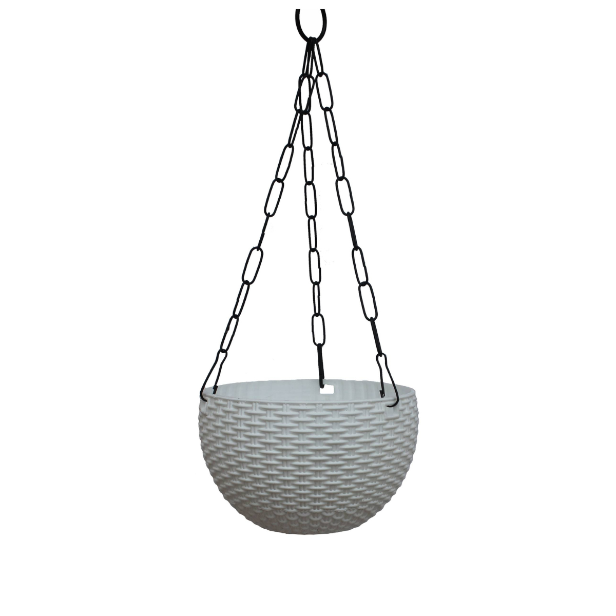Euro Basket - Image 4