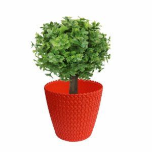 Poppy Pot