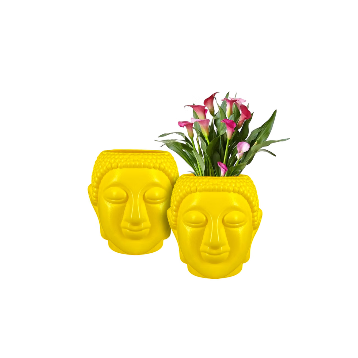 Face Pot - Image 2