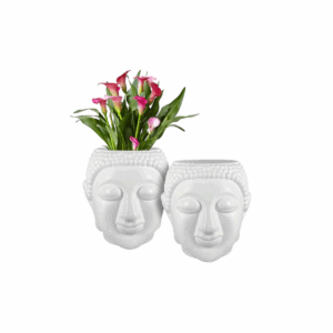 Face Pot