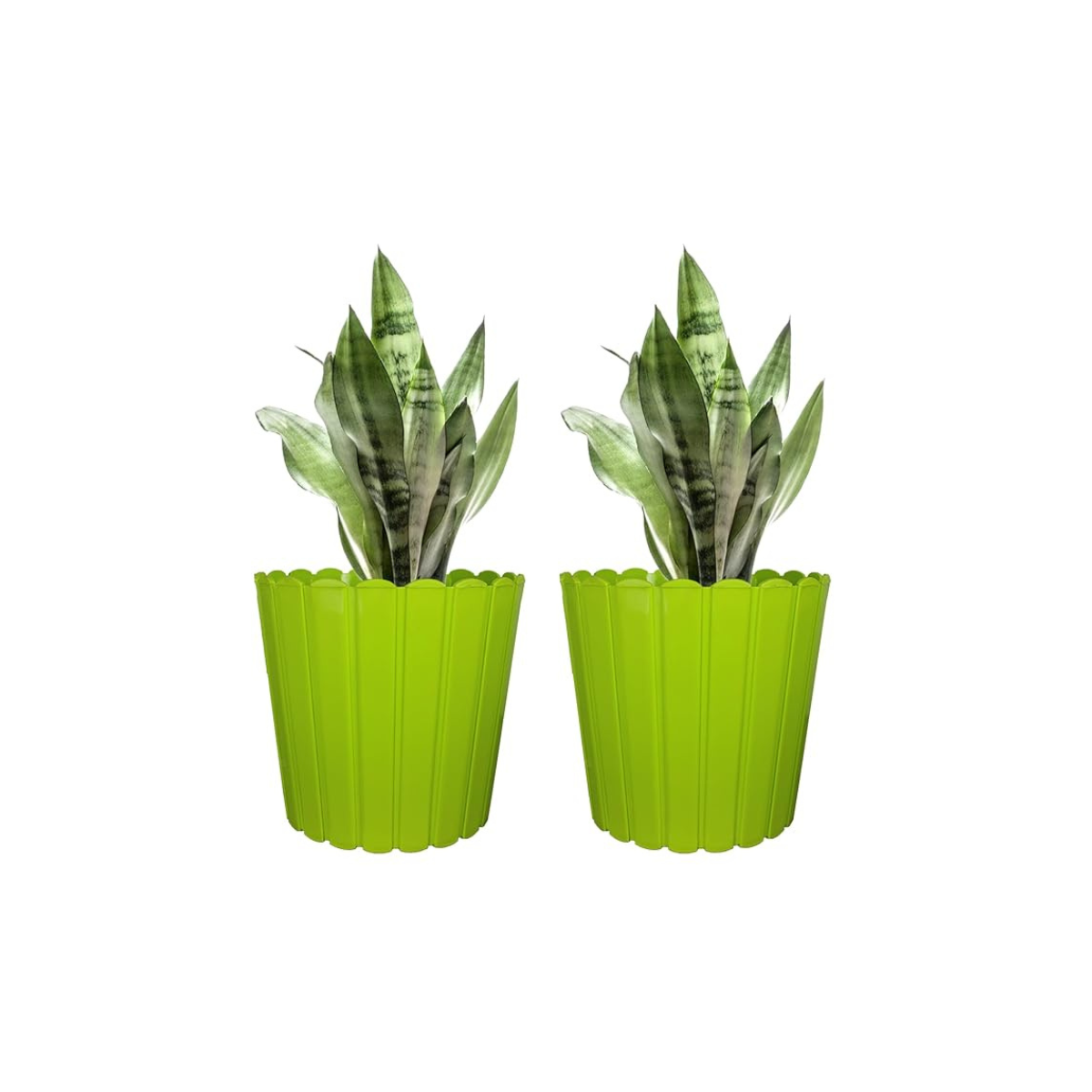 Thai Pot - Image 3