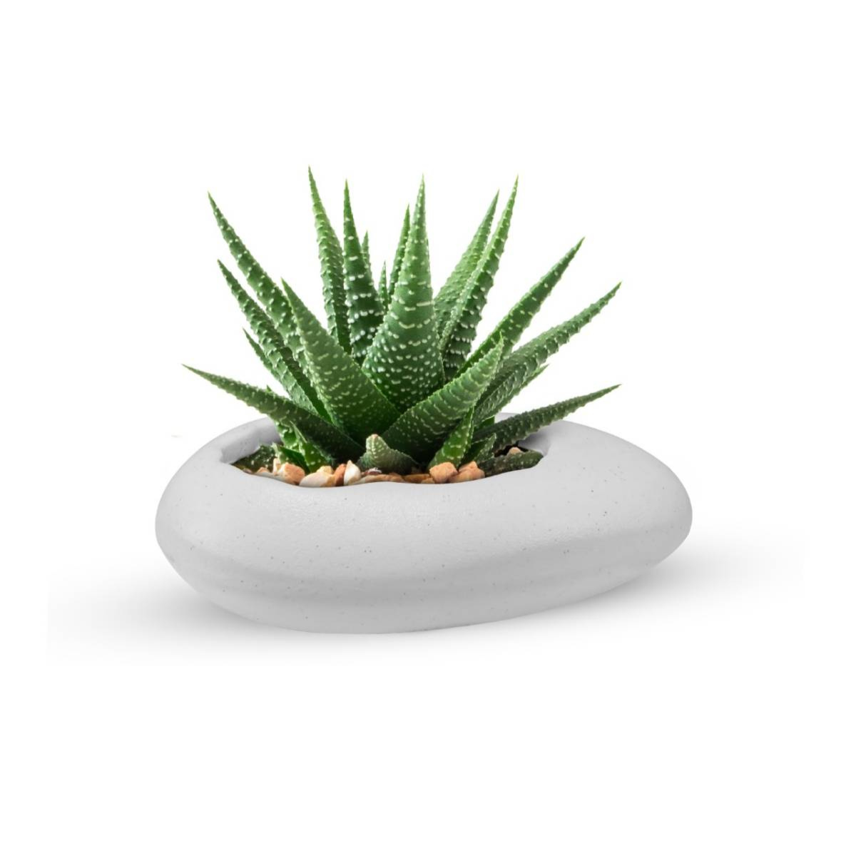 Pabble Pot