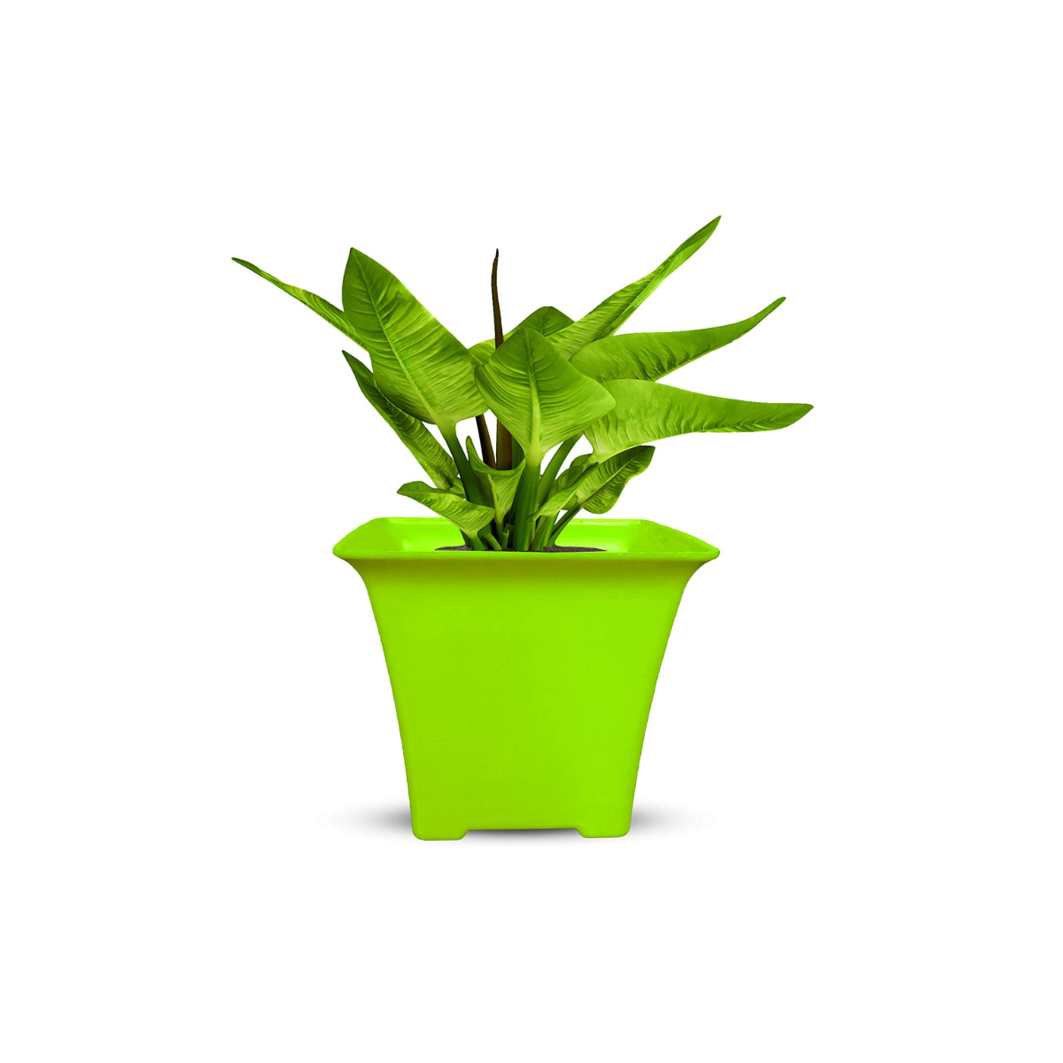 Orient Pot