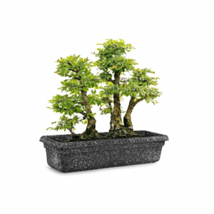 Nuclear Pot