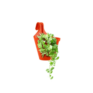 New iSmart Pot