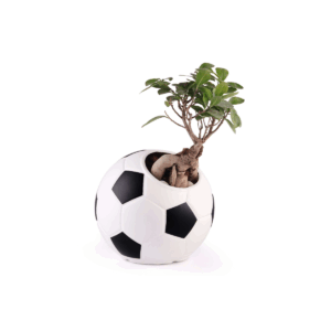 Football Pot - 8 inch