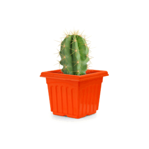 Super Pot