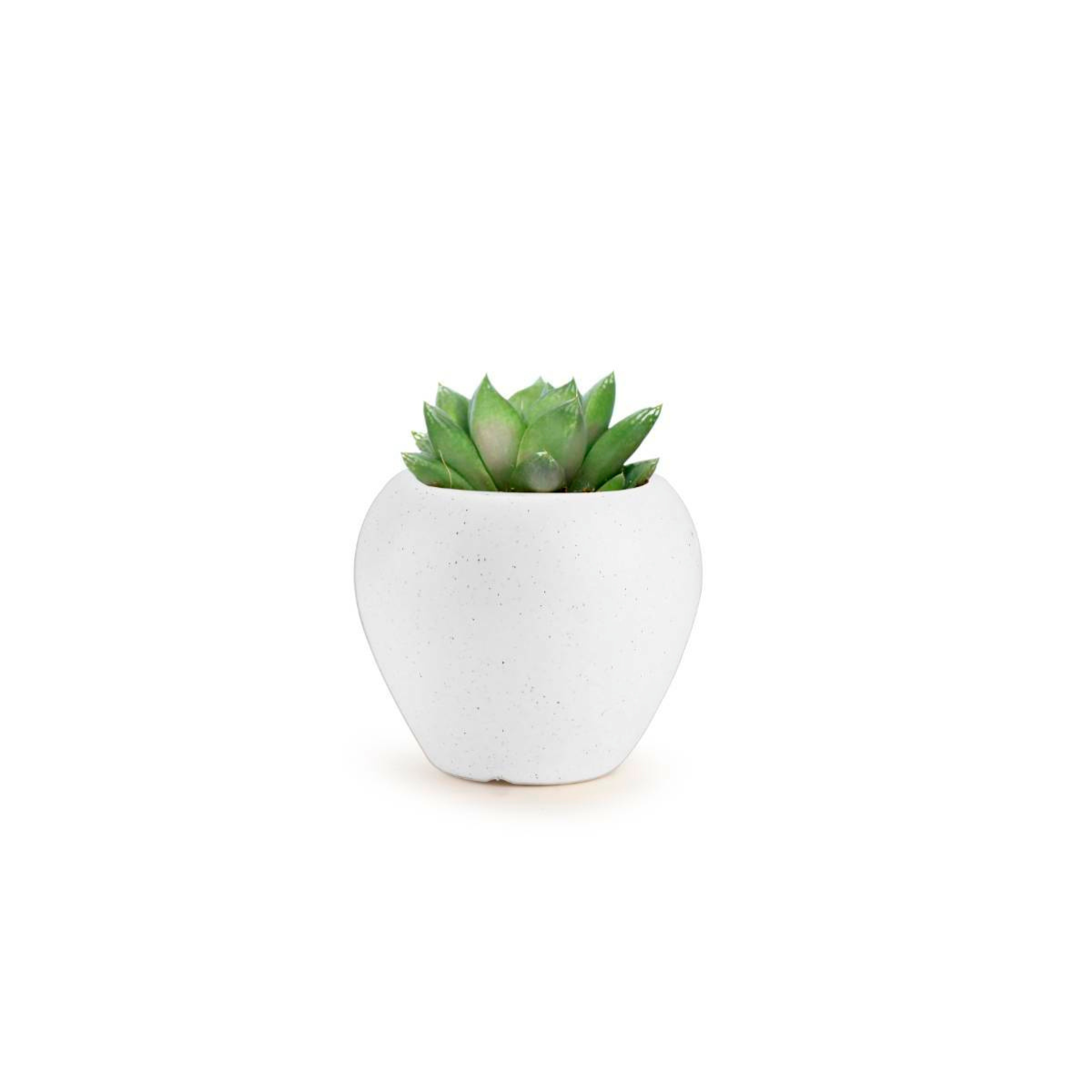 Apple Pot