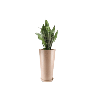 Quality Pot