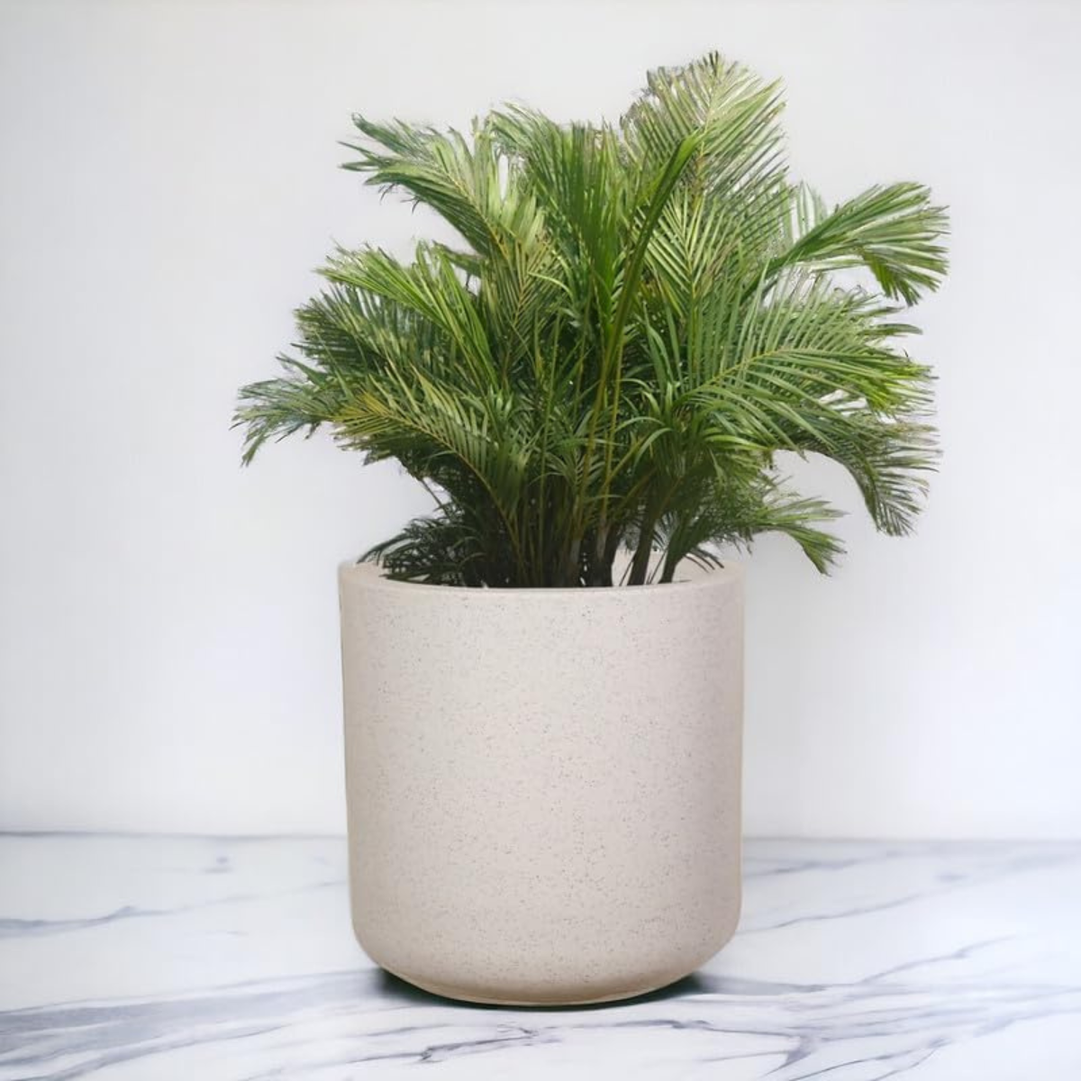 Malta Pot