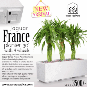 France Pot