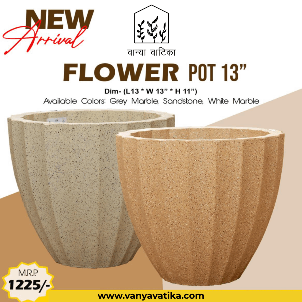 Flower Pot