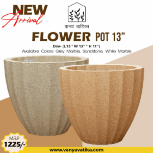 Flower Pot