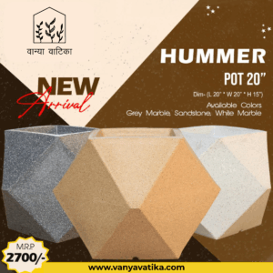 Hummer Pot