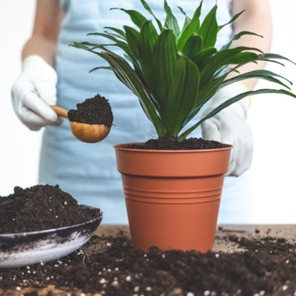 Organic Vermicompost - Image 2