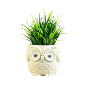 Owl Pot