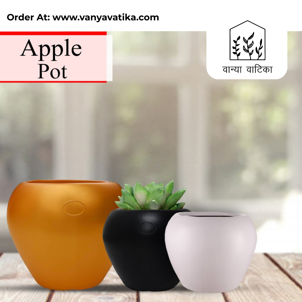 Apple Pot - Image 3