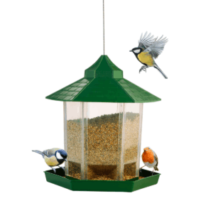 Bird Feeder