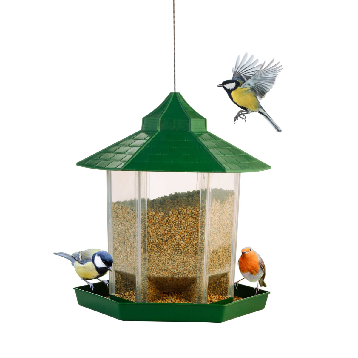 Bird Feeder