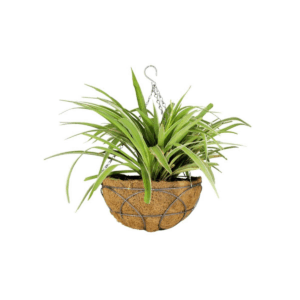 Circle Iron Basket - 12 inch