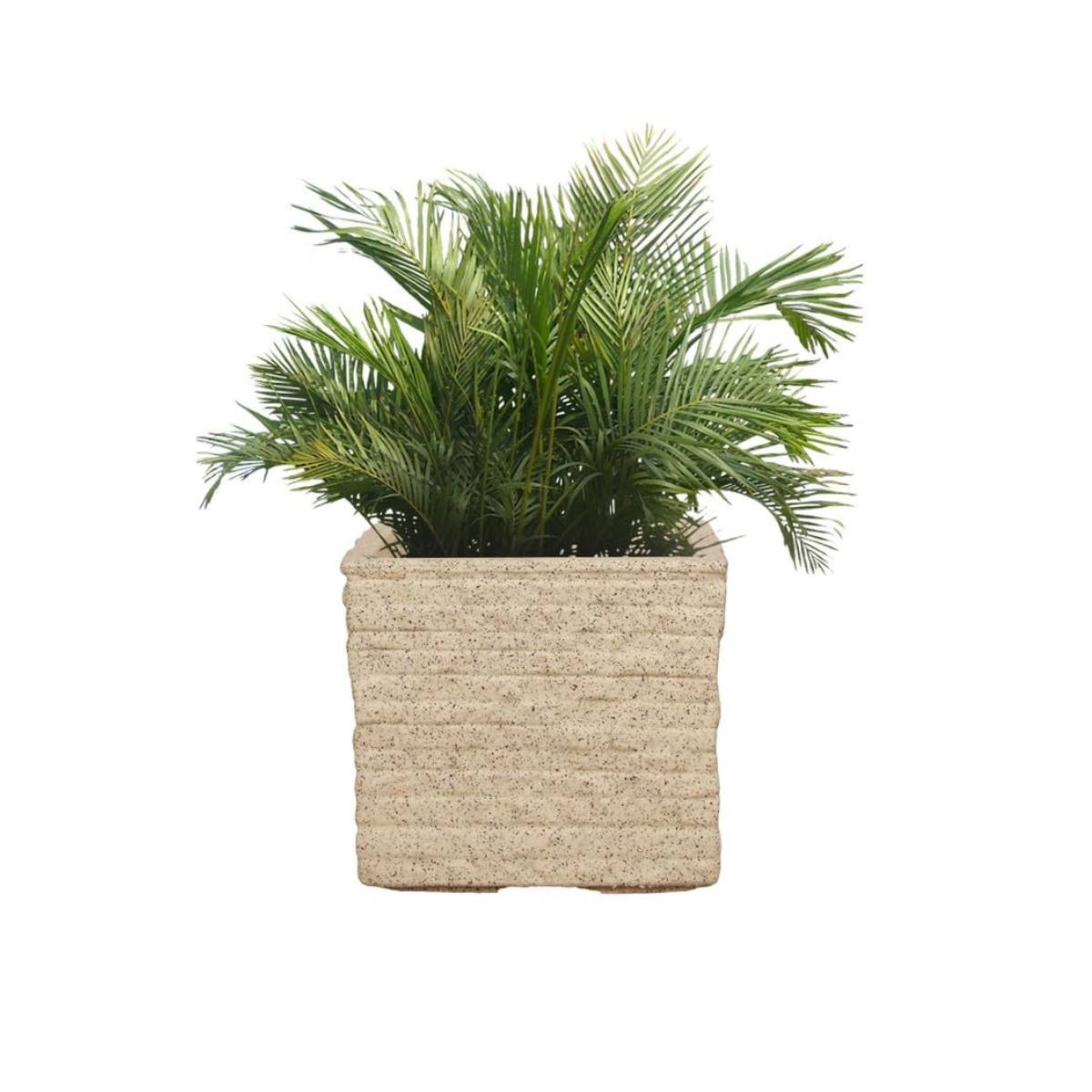 Coral Pot