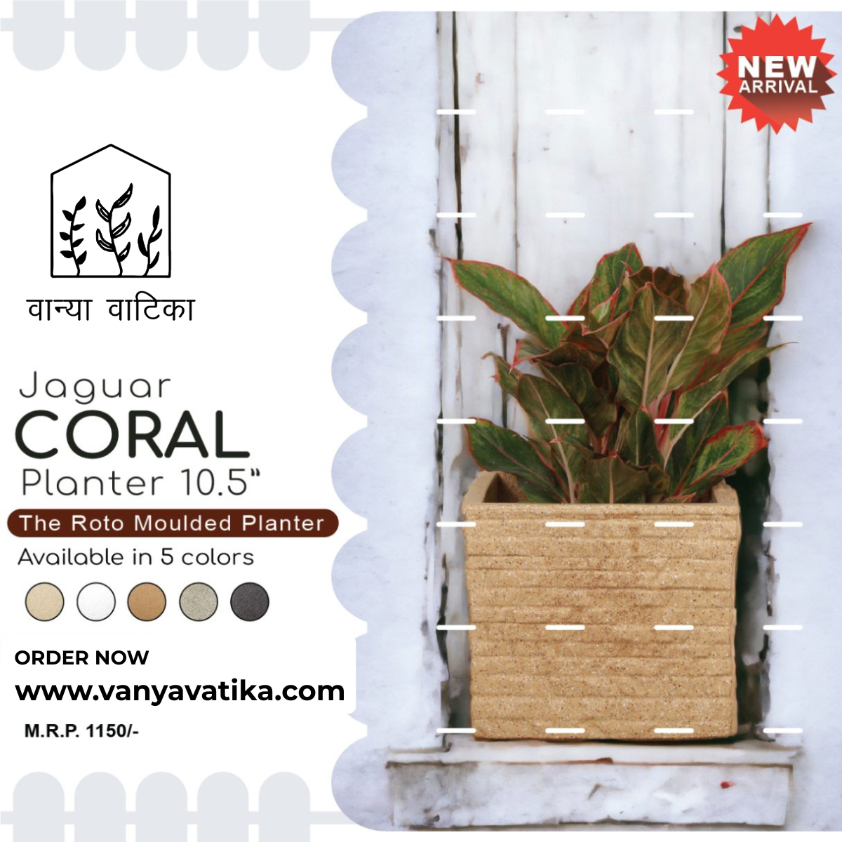 Coral Pot - Image 2