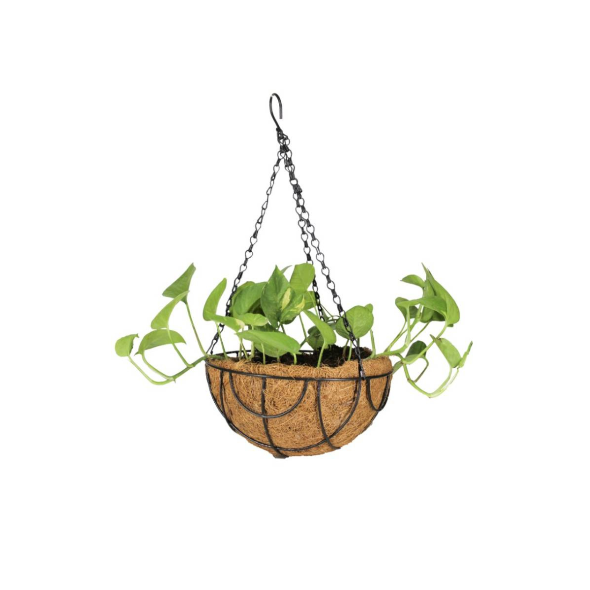 Cross Wire Iron Basket - 10 inch