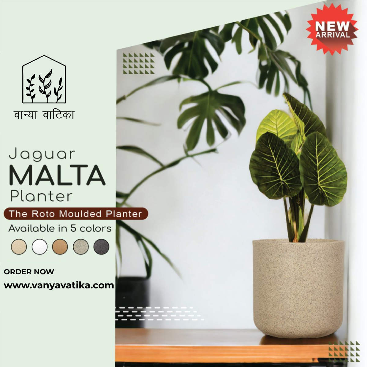 Malta Pot - Image 3