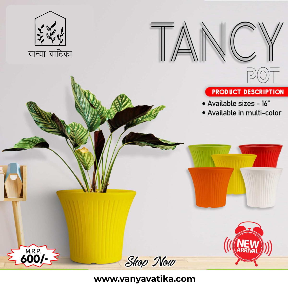Tancy Pot - Image 6